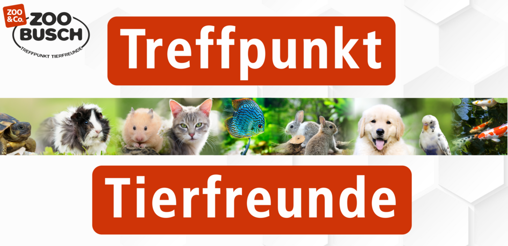 Banner Treffpunkt Tierfreunde