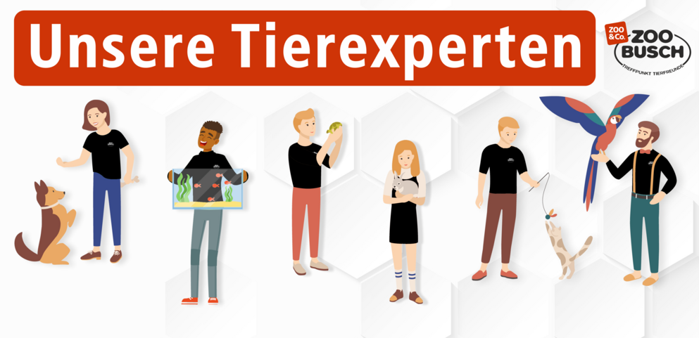 Tierexperten bei ZOO & Co Busch