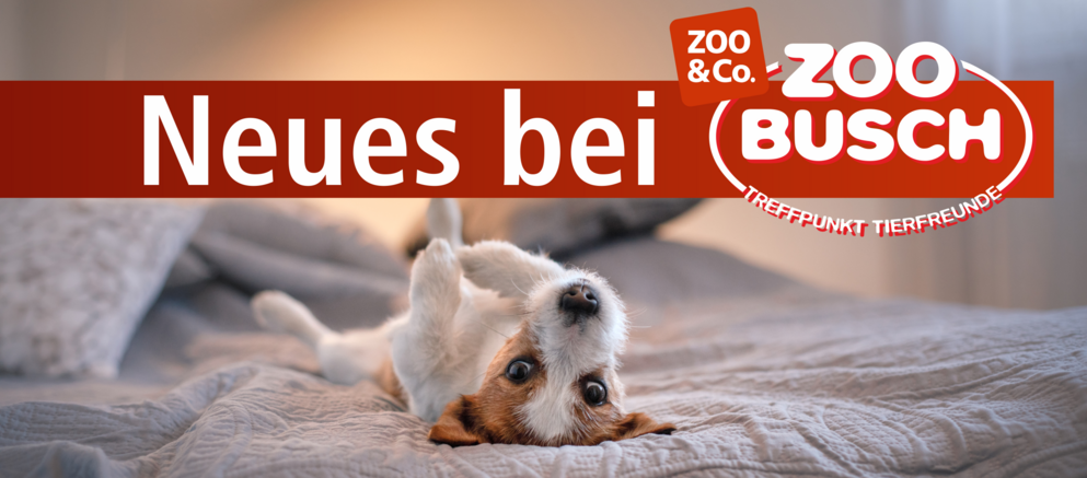 Logo Neues bei Zoo Busch