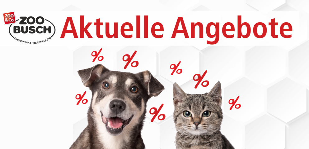 Werbebanner aktuelle Angebote