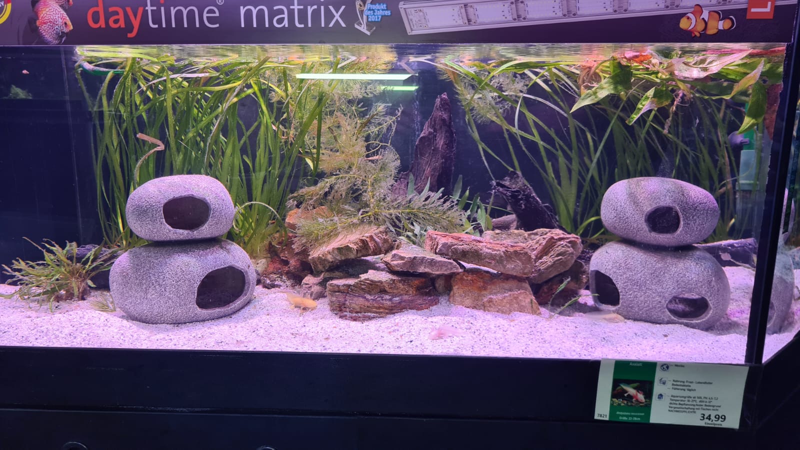 Erleuchtets Aquarium bei ZOO & Co. Busch