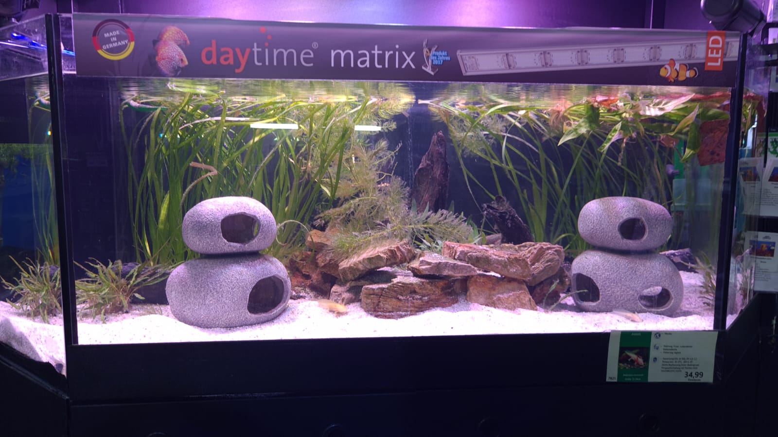 Beleuchtetes Becken bei ZOO & Co. Busch