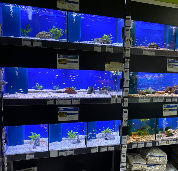 Beleuchtete Aquarien bei ZOO & Co. Busch