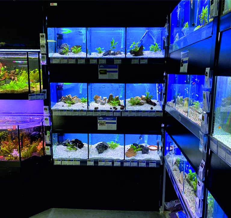 Beleuchtete Aquarien bei ZOO & Co. Busch
