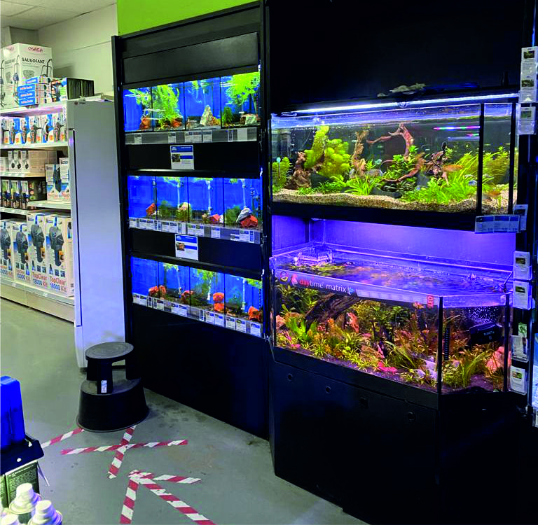 Beleuchtete Aquarien bei ZOO & Co. Busch