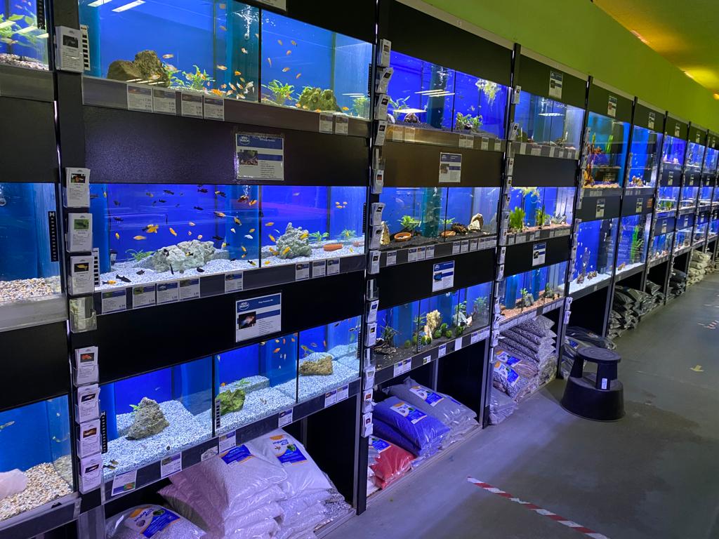 Beleuchtete Aquarien bei ZOO & Co. Busch