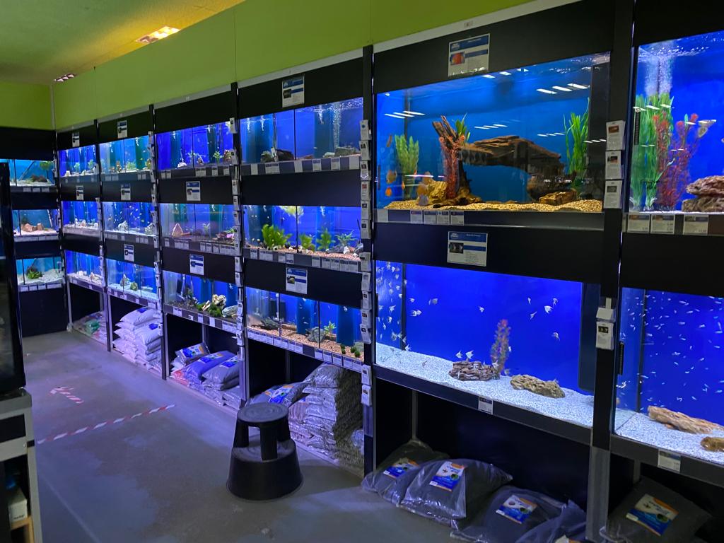 Beleuchtete Aquarien bei ZOO & Co. Busch
