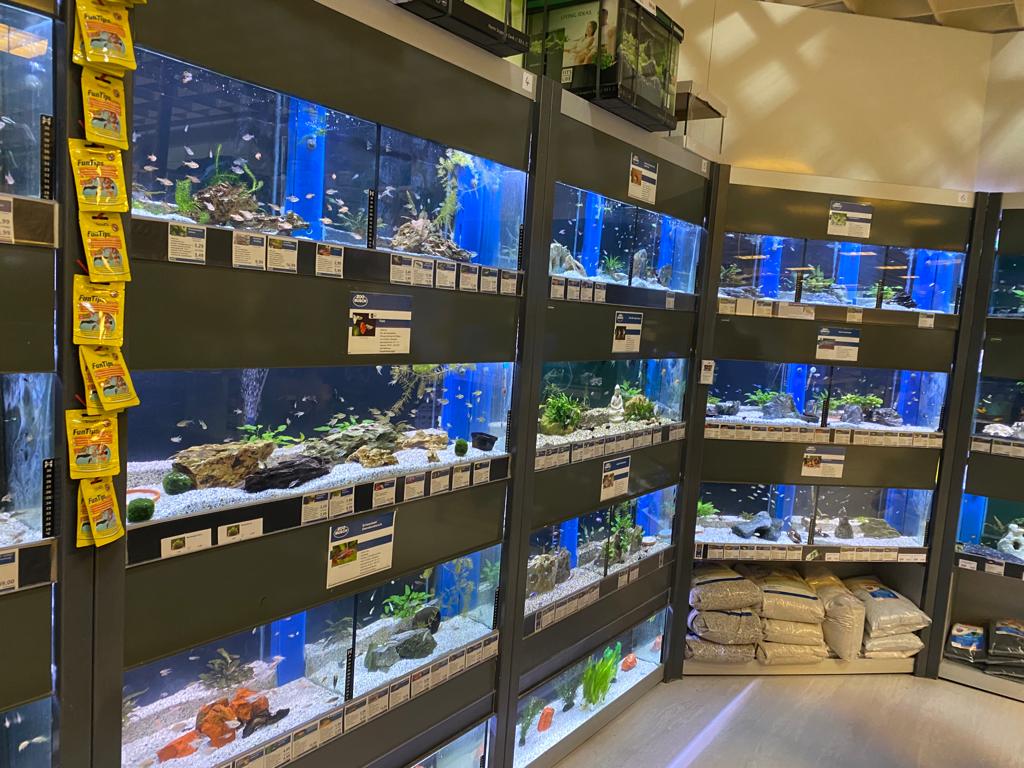 Beleuchtete Aquarien bei ZOO & Co. Busch