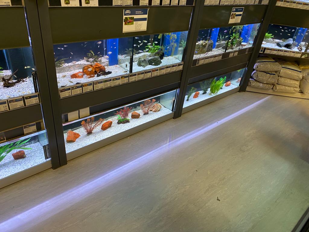 Beleuchtete Aquarien bei ZOO & Co. Busch