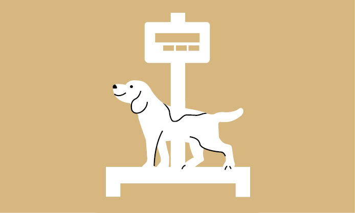 Piktogramm einer Hundewaage mit einem Hund darauf