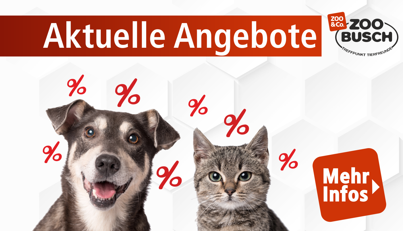 Werbebanner für aktuelle Angebote mit Hund und Katze sowie Rabattzeichen und Info-Button