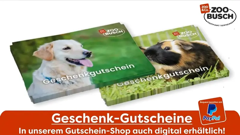 Geschenk-Gutscheine. Abbildung von 2 Gutscheinen. Hinweis auf Zahlungsmöglichkeit per Paypal.