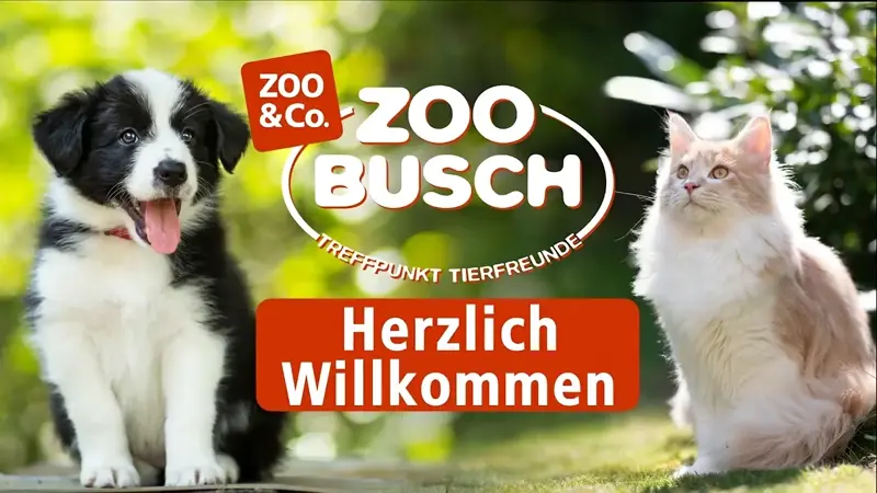 Zoo-Busch Logo, darunter der Schriftzug "Herzlich Willkommen". Links von dem Logo ist ein Hundewelpe, rechts davon eine Katze.