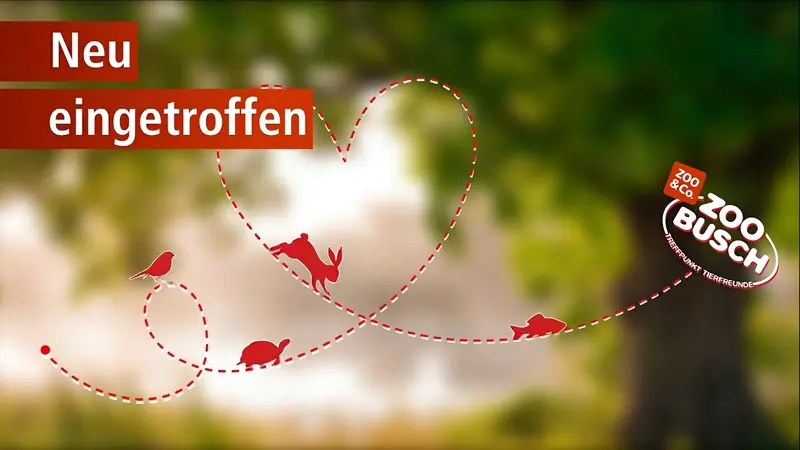 Hinweis: Tiere, Neu eingetroffen. Hier klicken für mehr Infos. Zu sehen ist eine eine Linie mit Start und Endpunkt, auf der verschiedene Tiere auf dem Weg zu Zoo-Busch abgebildet sind.