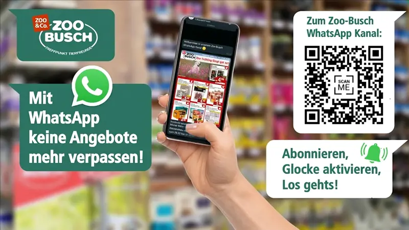 Hinweis auf den Zoo-Busch WhatsApp Kanal. Text:" Mit WhatsApp keine Angebote mehr verpassen. Abonniere, Glocke aktivieren, los gehts." QR-Code mit Link zum WhatsApp Kanal.