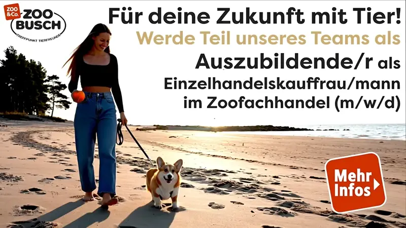 Stellensuche für Auszubildende/r (m/w/d). Text:"Für deine Zukunft mit Tier! Werde Teil unseres Teams als Auszubildende/r als Einzelhandelskauffrau/mann im Zoofachhandel (m/w/d).