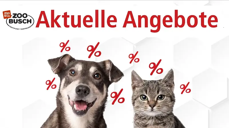 Aktuelle Angebote. Zu sehen sind ein Hund und eine Katze die sich leicht bewegen. 