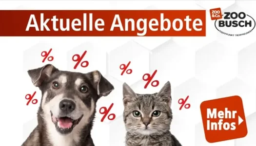Werbebanner: Aktuelle Angebote. Zu Sehen sind ein Hund und eine Katze.