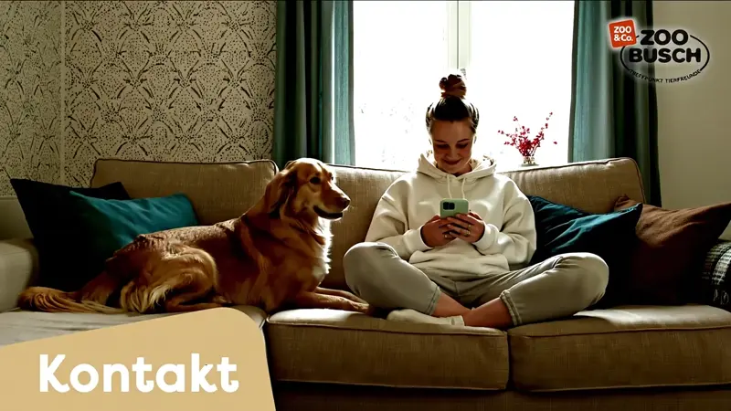 Eine junge Frau sitzt mit ihrem Hund auf dem Sofa und guckt ihr Mobiltelefon.