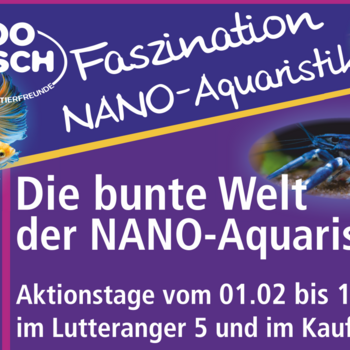 Flyer über die bunte Welt der NANO Aquaristik