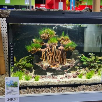 ZOO & Co Tierfachhandel