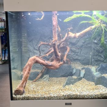 Aquarium bei ZOO & Co. Busch