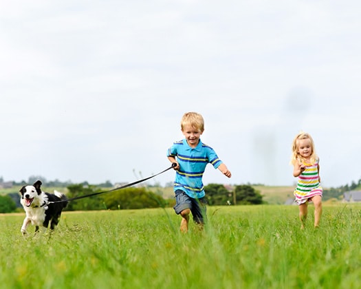 Der Hund als treuer Begleiter mit 2 Kindern