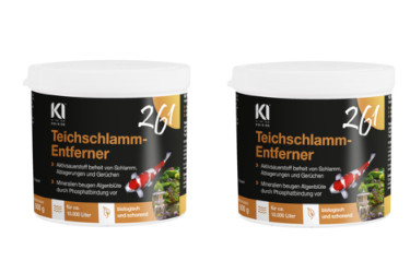 KI KA IBA Teichschlammentferner